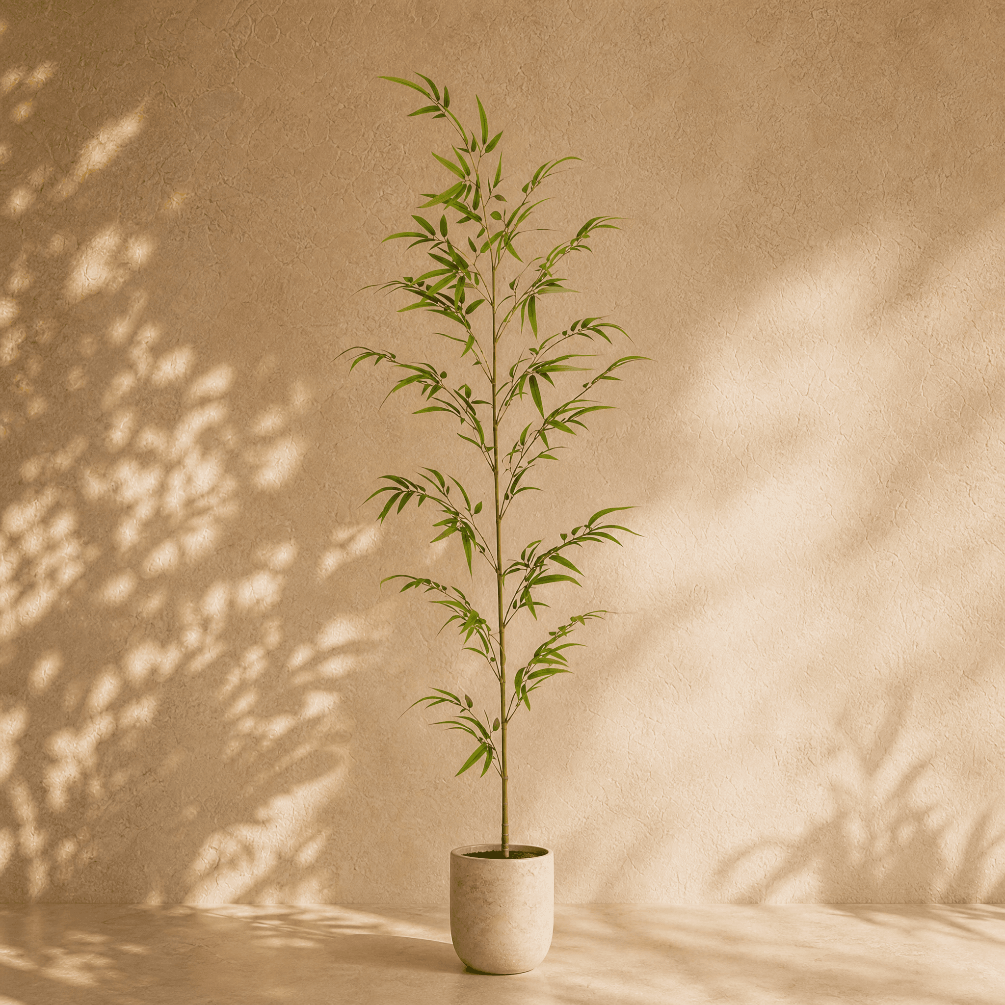 Bamboo