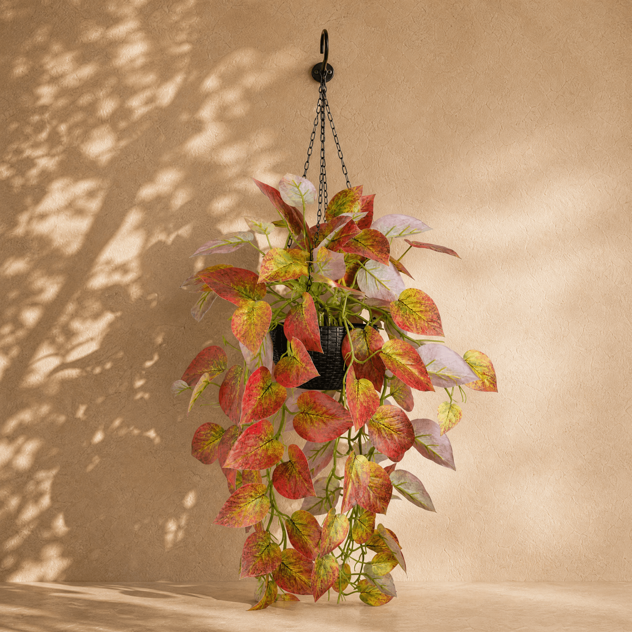 Pothos