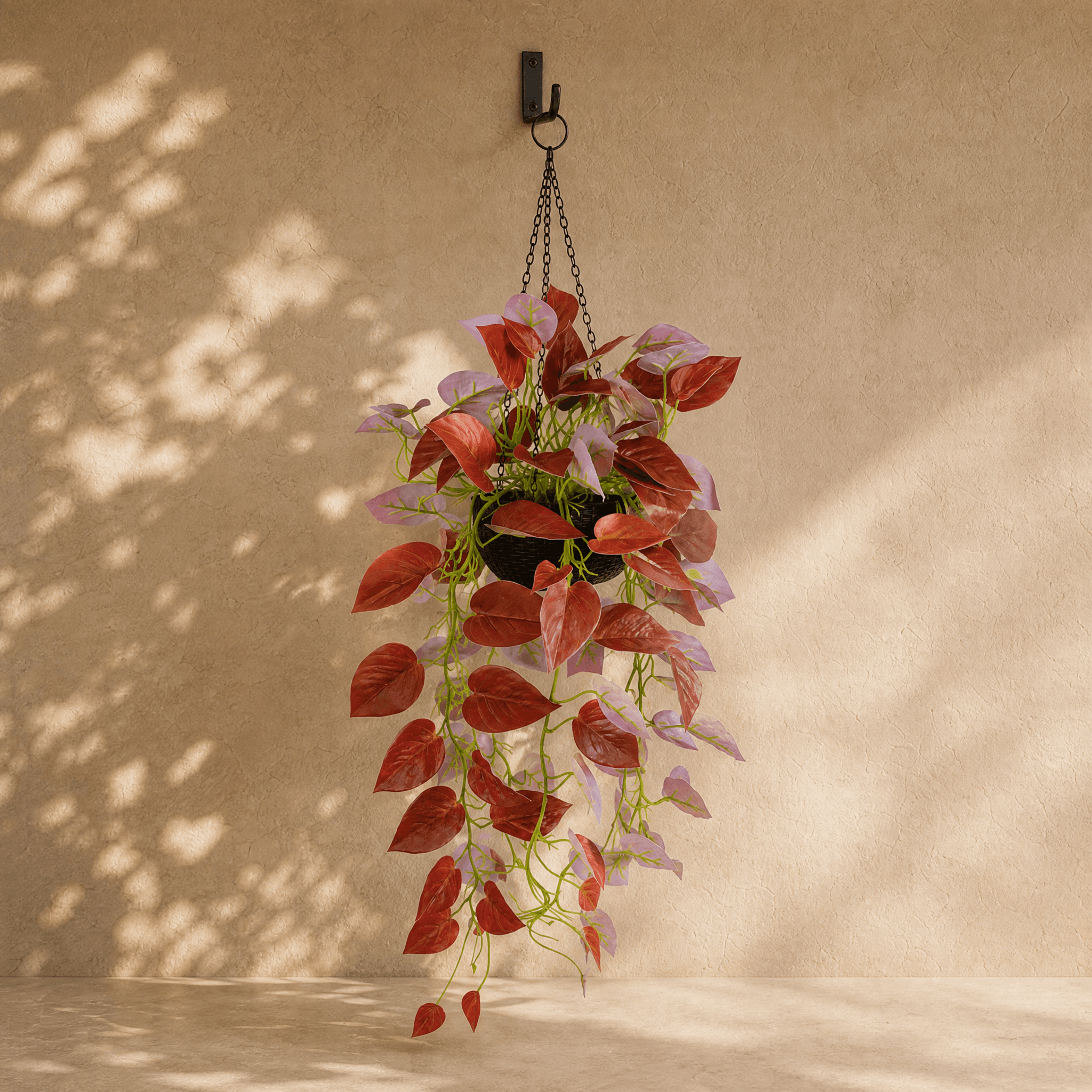 Pothos